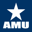 american military university