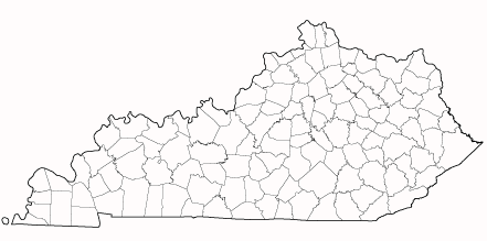 study in kentucky