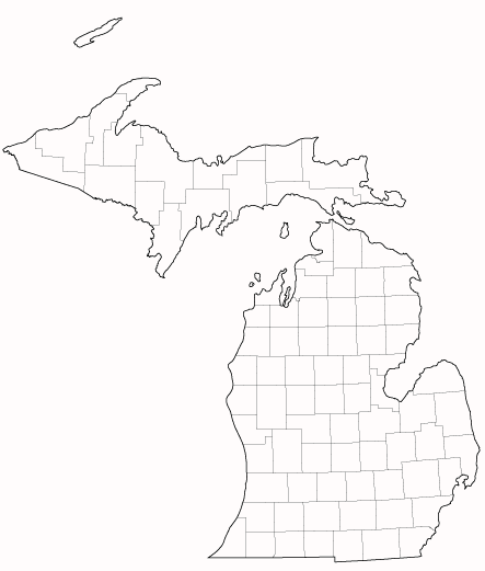 study in michigan