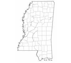 Study in Mississippi