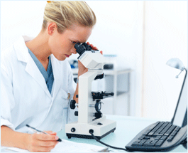 study medicine