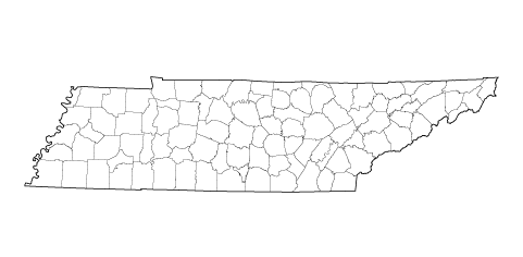 study in tennessee