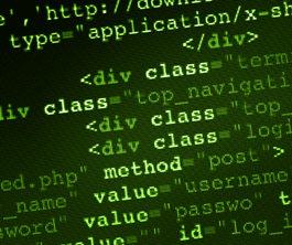 study web design and web development