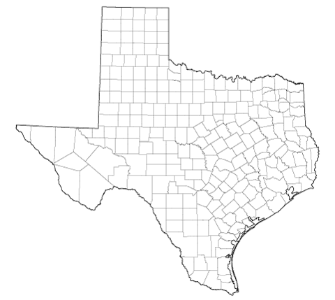 Study in Texas