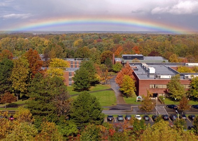 Fitzwilliam college essay competition results